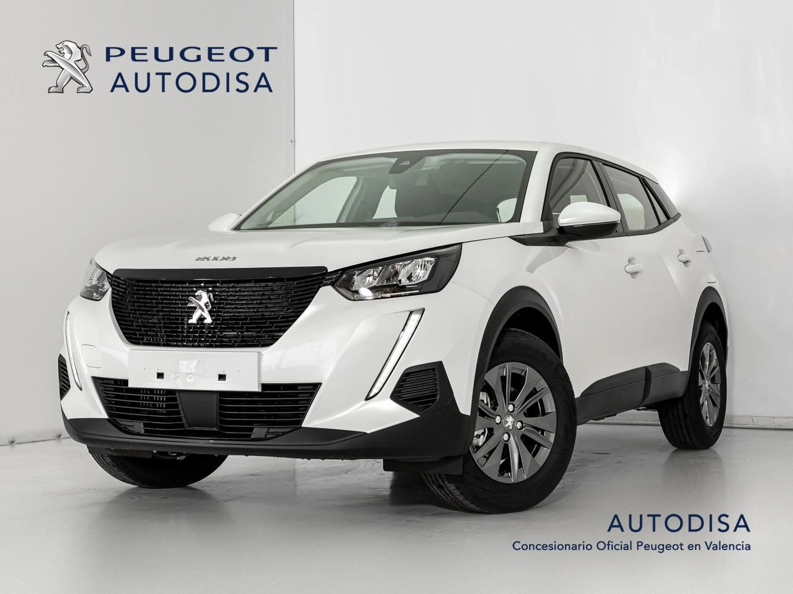 Peugeot 2008 Active Puretech 100 S&S BVM6 - Foto 1